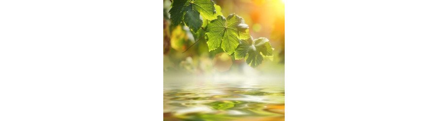 Mobilier Esthétique pour Professionnel I Crissyl